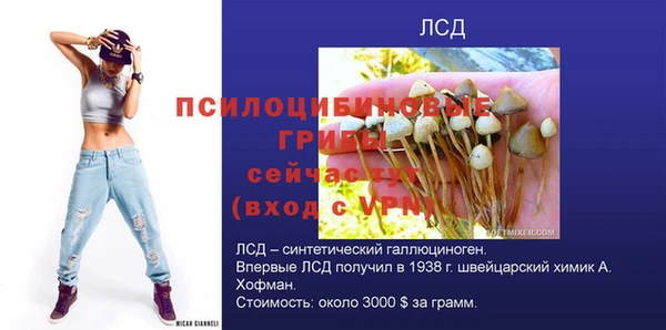 бошки Нязепетровск