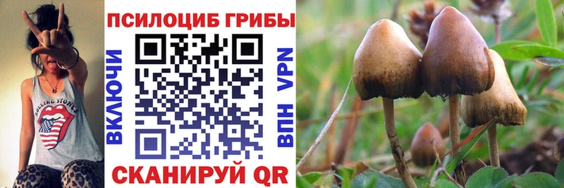 Галлюциногенные грибы GOLDEN TEACHER Колпашево